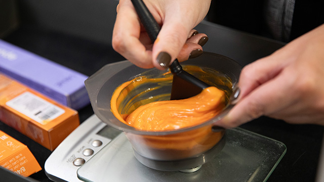 HCG - Apprentice Module 4: Precision Colouring